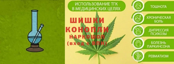 мдпв Козловка