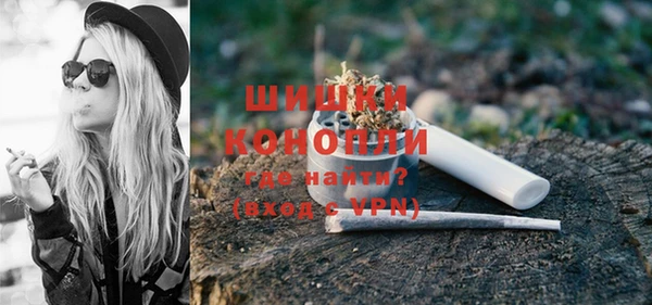 стафф Кодинск