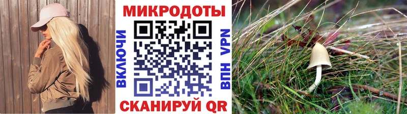 Галлюциногенные грибы мухоморы  Купить  Бабаево 
